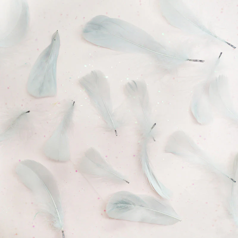 Ita Bag DIY Decoration Feather Accessories - Image 17
