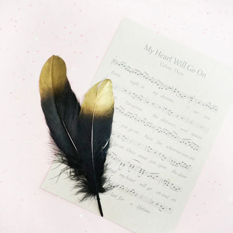 Ita Bag DIY Decoration Feather Accessories - Image 5
