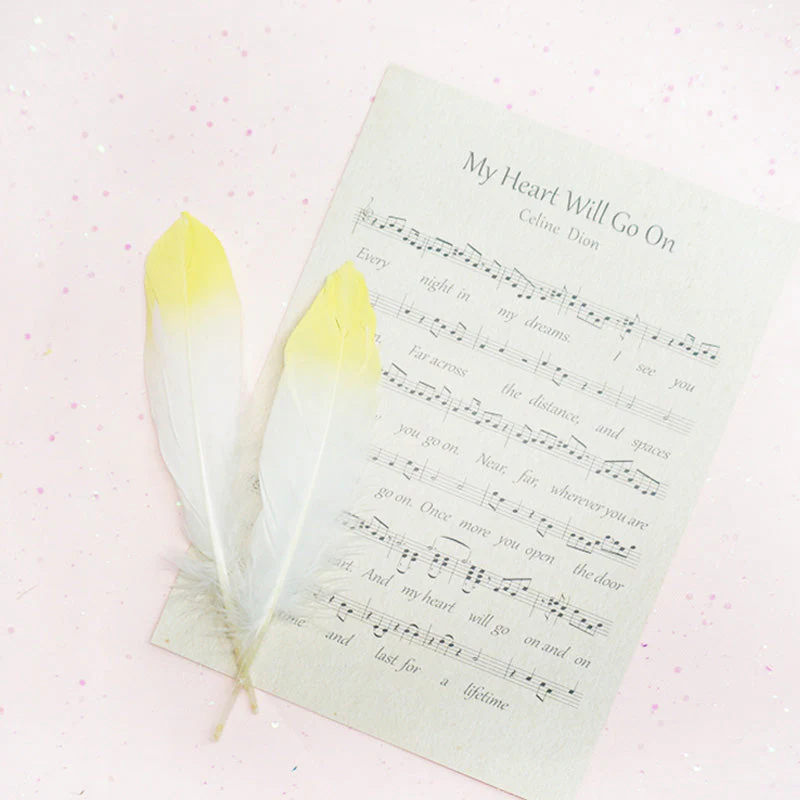 Ita Bag DIY Decoration Feather Accessories - Image 8