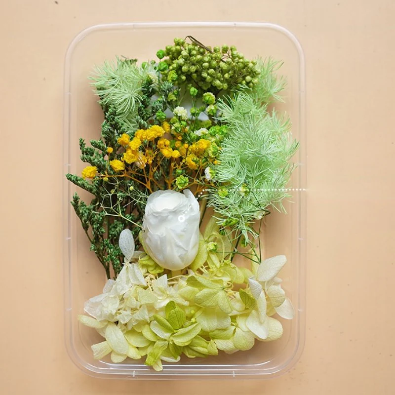 Preserved Flowers for Crafts - Image 10