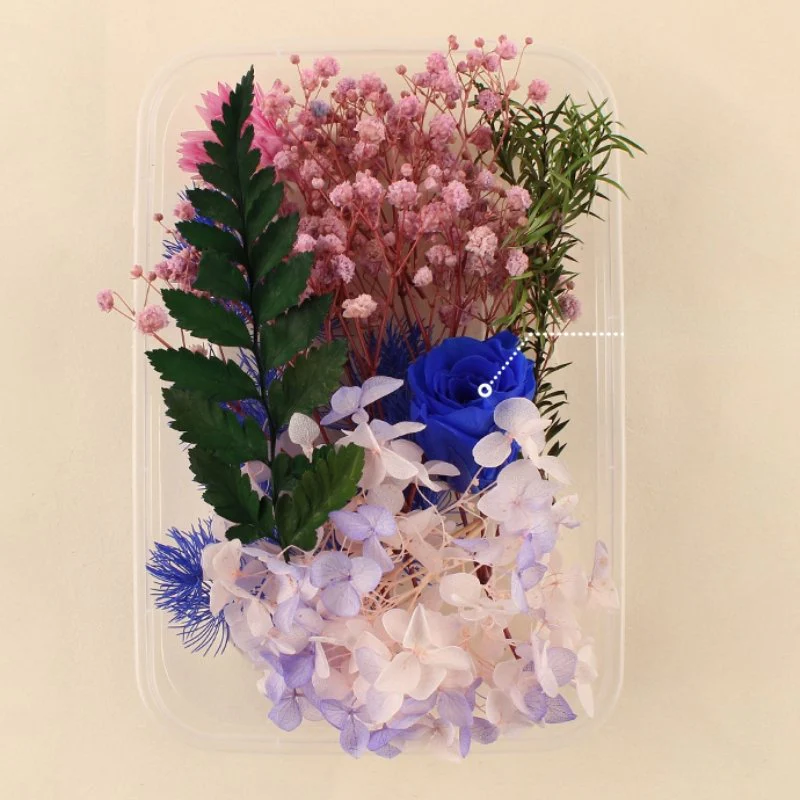 Preserved Flowers for Crafts - Image 11