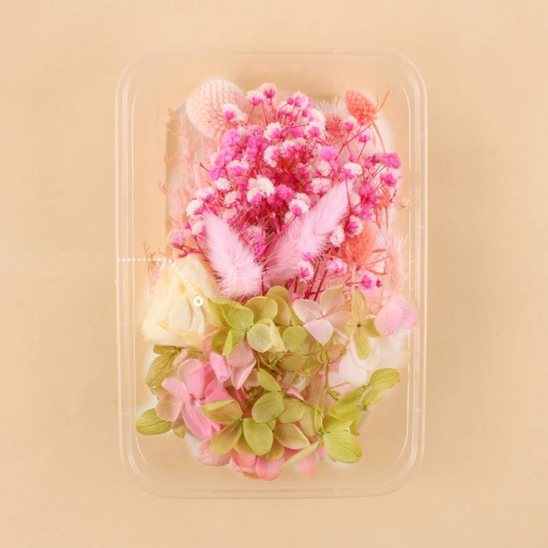 Preserved Flowers for Crafts - Image 12