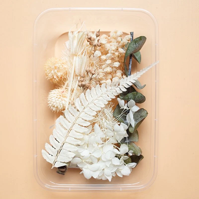 Preserved Flowers for Crafts - Image 14