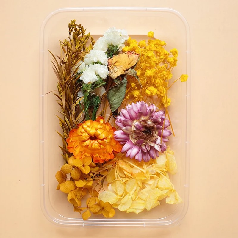 Preserved Flowers for Crafts - Image 17