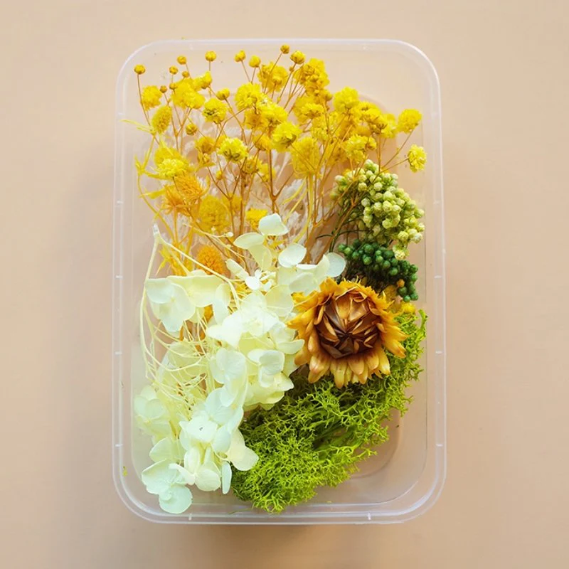 Preserved Flowers for Crafts - Image 18
