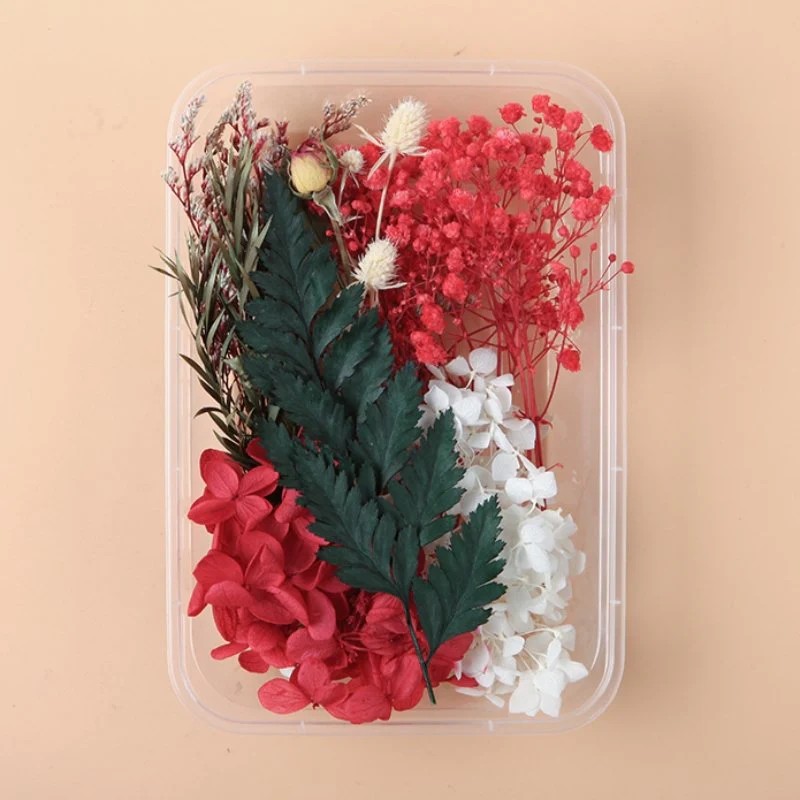 Preserved Flowers for Crafts - Image 19