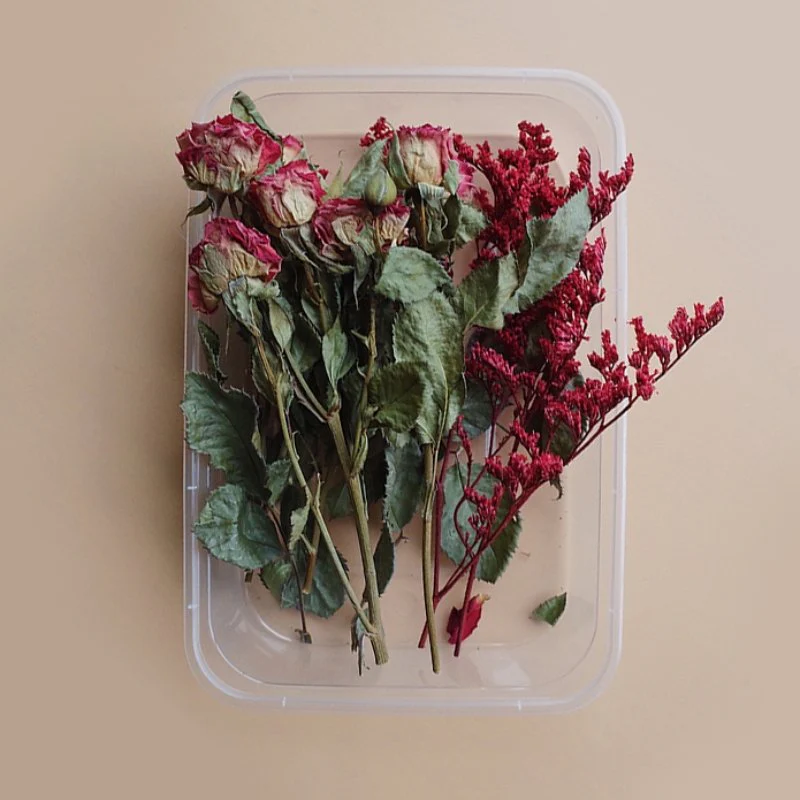 Preserved Flowers for Crafts - Image 21