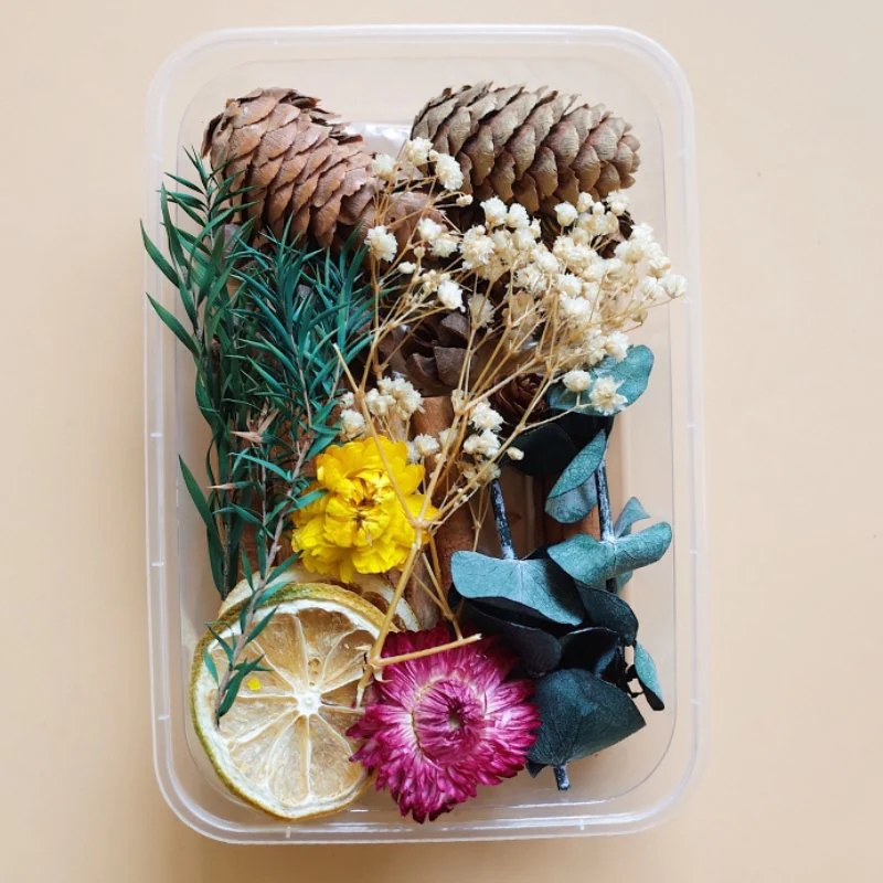 Preserved Flowers for Crafts - Image 22
