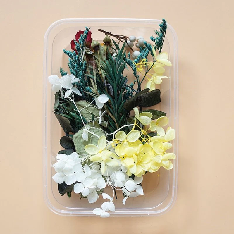 Preserved Flowers for Crafts - Image 23