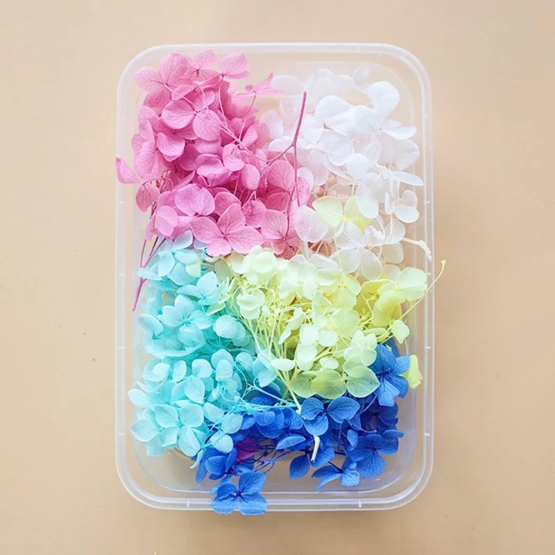 Preserved Flowers for Crafts - Image 25