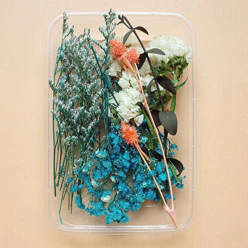Preserved Flowers for Crafts - Image 27