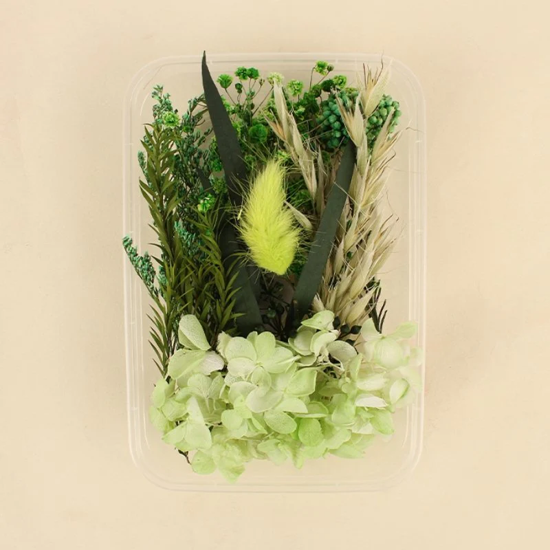 Preserved Flowers for Crafts - Image 28