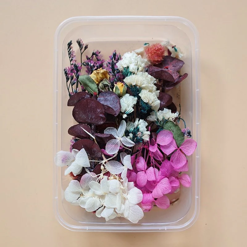 Preserved Flowers for Crafts - Image 30