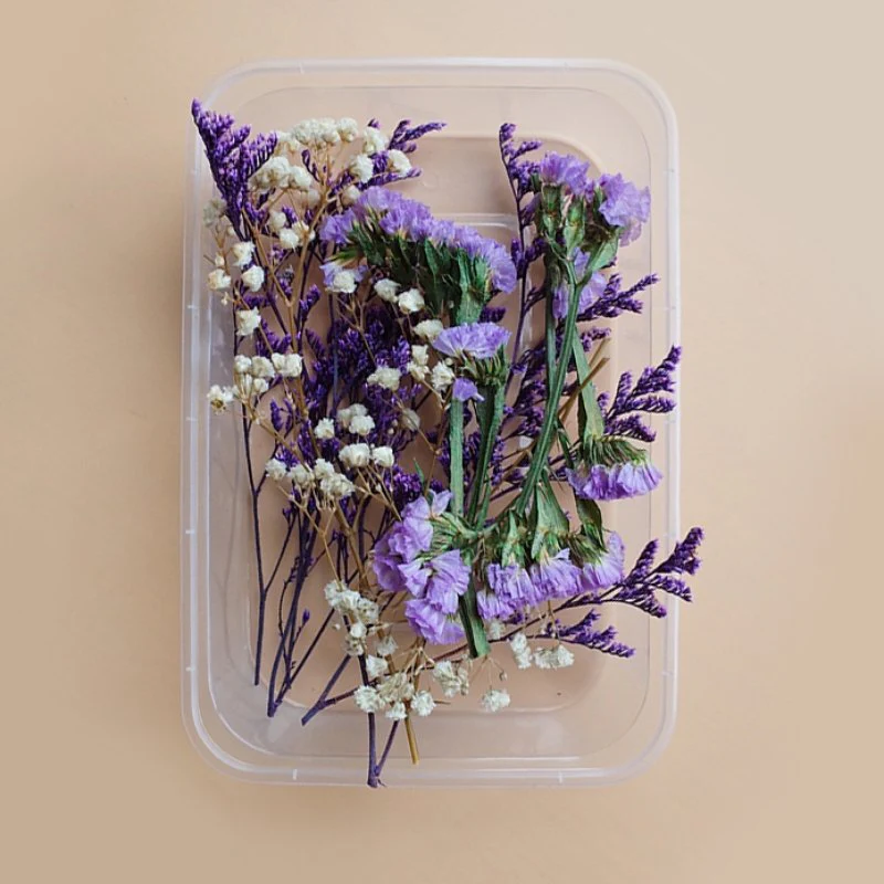 Preserved Flowers for Crafts - Image 34