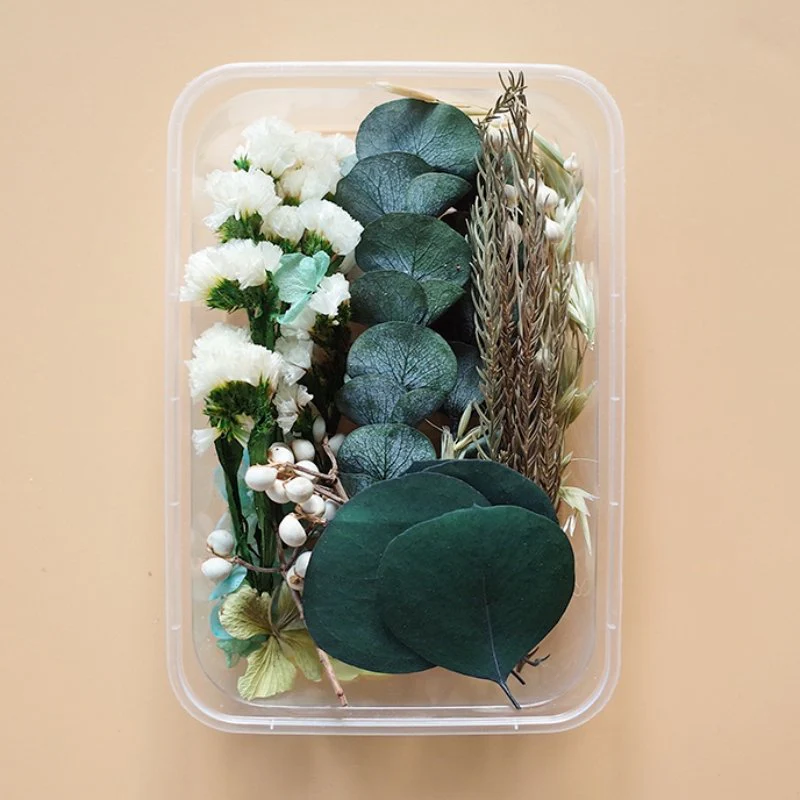 Preserved Flowers for Crafts - Image 35