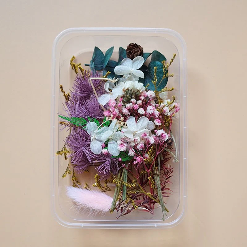 Preserved Flowers for Crafts - Image 4