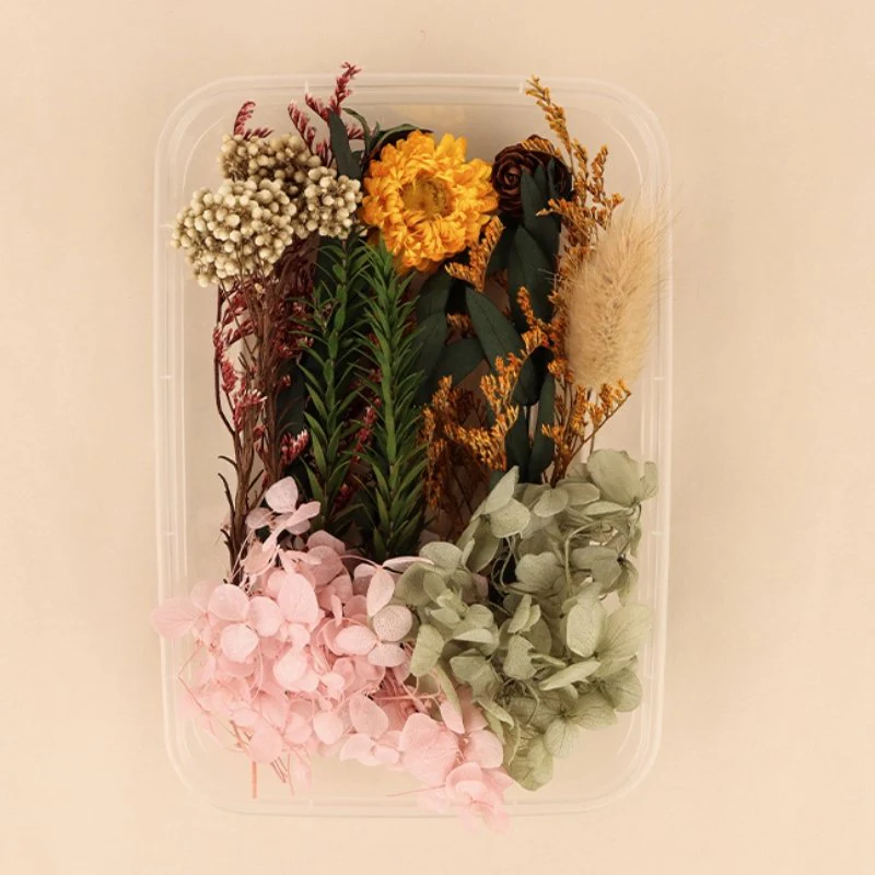 Preserved Flowers for Crafts - Image 9